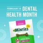 Vetiq Minties Dog Dental Bone Treats, Dental Treats for Dogs, Tiny/Small, 16Oz - Image 3