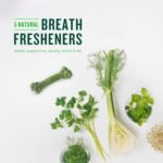 Vetiq Minties Dog Dental Bone Treats, Dental Treats for Dogs, Tiny/Small, 16Oz - Image 6