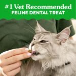 GREENIES Feline Cat Treats Natural Dental Care, Oven Roasted Chicken Flavour, 21oz. Tub - Image 4