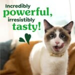 GREENIES Feline Cat Treats Natural Dental Care, Oven Roasted Chicken Flavour, 21oz. Tub - Image 8