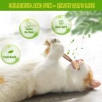 Catnip Toys‖ Silvervine for Cats: Cute Cat & Kitten Toys for Indoor Cats Interactive‖ Cat & Kitten Teething Chew Toys for Aggressive Chewers‖ Silvervine Sticks Cat Dental Toy (3PCS) - Image 3