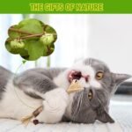 Catnip Toys‖ Silvervine for Cats: Cute Cat & Kitten Toys for Indoor Cats Interactive‖ Cat & Kitten Teething Chew Toys for Aggressive Chewers‖ Silvervine Sticks Cat Dental Toy (3PCS) - Image 5