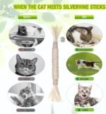 Catnip Toys‖ Silvervine for Cats: Cute Cat & Kitten Toys for Indoor Cats Interactive‖ Cat & Kitten Teething Chew Toys for Aggressive Chewers‖ Silvervine Sticks Cat Dental Toy (3PCS) - Image 6