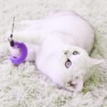 20 Pcs Cat Worm Replacement Toy, Interactive Cat Wand Toy Refills, Assorted Teaser Refills with Bells, Kitten Wands Toy for Indoor Cats Training Exerciser - Image 5