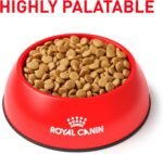 ROYAL CANIN Canine Urinary SO Dry - Small Dog (8.8 lb) - Image 3