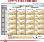 ROYAL CANIN Canine Urinary SO Dry - Small Dog (8.8 lb) - Image 9