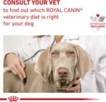 ROYAL CANIN Canine Urinary SO Dry - Small Dog (8.8 lb) - Image 12