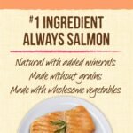 Merrick Lil Plates Small Salmon Recipe Dog Treat, 5Oz - Image 5