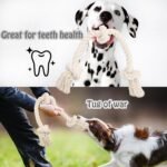 Barida Natural White Cotton Tough Dog Rope Toy. Non Toxic and Premium Rope Dog Tug Toy for Medium & Large Dogs. - Image 7
