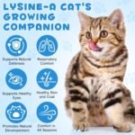 Liquid Lysine for Cats - Immune Health Support, Respiratory Function Booster, Skin & Coat Enhancer, Healthy Eyes Promoter - 60ml Bottle, Roast Chicken Flavor - Image 5