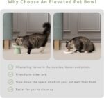 2 Extra Wide Elevated Cat Food Bowl, Ceramic Cat Bowls for Food and Water, Wide Shallow Cat Food Dish, Whisker Fatigue, Lead & Cadmium Free, Great Height for Cat - Image 7