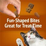 Friskies Party Mix Cat Treats, Chicken Lovers Crunch with Real Chicken - 170 g Pouch (1 Pack) - Image 8