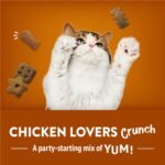 Friskies Party Mix Cat Treats, Chicken Lovers Crunch with Real Chicken - 170 g Pouch (1 Pack) - Image 9