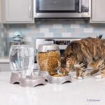 Petmate Pet Cafe Feeder Dog and Cat Feeder Pearlescent Colors 3 Sizes - Image 8