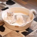 CHEERHOME PETS Cat Bed Basket with Cushion, Cute Pet Bed for Indoor Cats Couch, Kitten Bed for Medium and Large Cat, All Season Universal(White) - Image 8