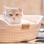 CHEERHOME PETS Cat Bed Basket with Cushion, Cute Pet Bed for Indoor Cats Couch, Kitten Bed for Medium and Large Cat, All Season Universal(White) - Image 10