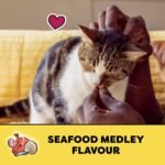 TEMPTATIONS Cat Treats, Seafood Medley Flavour, 350g - Image 4