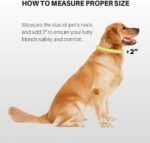 Hyhug Pets Classic Regular Comfortable and Sturdy Nylon Dog Collar - Solid Color,Easy to Get On&Off. (Large, Red) - Image 10