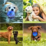 Dog Chew Toys for Puppy Teething, 3Pack 2-8 Months Puppies Teething Toys Soft & Durable Puppy Toys for Cleaning Teeth and Protects Oral Health Both Small Dogs & Medium Dog Suitable (3 Pack New) - Image 7