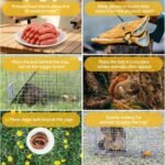 Rat Trap Humane Animal Live Cage, Mouse Traps No Kill Live Catch and Release One - Reusable,Mice,Chipmunks,Squirrels,Weasel and More Rodents Mousetrap Trap for Indoor Outdoor Use - Image 5