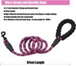 6FT/10FT Strong Dog Leashes with Comfortable Padded Handle and Highly Reflective Threads for Small Medium and Large Dogs(6 Feet x1/2'' (Pack of 1), Purple) - Image 3