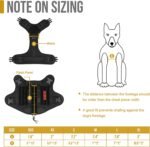 OneTigris Tactical Dog Harness,FIRE Watcher 2.0 No-Pull Dog Harness Vest with Hook & Loop Panels, Military Dog Harness Adjustable Dog Vest for Walking Hiking Training(Black,Medium) - Image 7