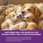 Prenatal Vitamins for Dogs & Cats – Pre & Postnatal Supplement with Probiotics, Glucosamine, MSM, CoQ10, & Essential Vitamins – Supports Pregnancy, Nursing & Recovery – 90 Soft Chews (Salmon Flavor) - Image 5