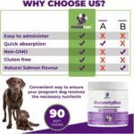 Prenatal Vitamins for Dogs & Cats – Pre & Postnatal Supplement with Probiotics, Glucosamine, MSM, CoQ10, & Essential Vitamins – Supports Pregnancy, Nursing & Recovery – 90 Soft Chews (Salmon Flavor) - Image 6
