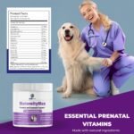 Prenatal Vitamins for Dogs & Cats – Pre & Postnatal Supplement with Probiotics, Glucosamine, MSM, CoQ10, & Essential Vitamins – Supports Pregnancy, Nursing & Recovery – 90 Soft Chews (Salmon Flavor) - Image 9