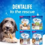 DentaLife Chews Dog Treats for Small Breed Dogs - 248 g Pouch (1 Pack) - Image 8