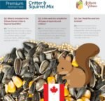 Schoen Farms Critter & Squirrel Mix – 3.18 kg Bag – Natural Wildlife Food for Squirrels, Chipmunks & Rabbits – with Corn, Peanuts & Sunflower – Canadian Grown - Image 6