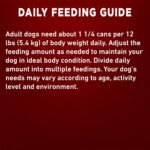 Purina ONE Tender Cuts Wet Dog Food, in Gravy Lamb & Brown Rice Entree - 368 g Can (12 Pack) - Image 12