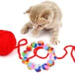 Ipetboom 20Pcs Rainbow Yarn Cat Balls Toy for Indoor Cats - Interactive Kitten Play Plush Balls 1.37 Inch Lightweight Cat Chewing and Chasing Toys - Image 4