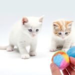 Ipetboom 20Pcs Rainbow Yarn Cat Balls Toy for Indoor Cats - Interactive Kitten Play Plush Balls 1.37 Inch Lightweight Cat Chewing and Chasing Toys - Image 8