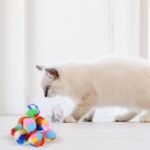 Ipetboom 20Pcs Rainbow Yarn Cat Balls Toy for Indoor Cats - Interactive Kitten Play Plush Balls 1.37 Inch Lightweight Cat Chewing and Chasing Toys - Image 9