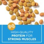 Cat Chow Indoor Dry Cat Food, Real Chicken - 3.2 kg Bag - Image 6