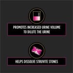 Purina Pro Plan Veterinary Diets UR StOx UR Urinary St/Ox Feline Formula Dry Food - (1) 16 lb. Bag - Image 3