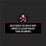 Purina Pro Plan Veterinary Diets UR StOx UR Urinary St/Ox Feline Formula Dry Food - (1) 16 lb. Bag - Image 4