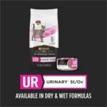 Purina Pro Plan Veterinary Diets UR StOx UR Urinary St/Ox Feline Formula Dry Food - (1) 16 lb. Bag - Image 12