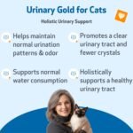 Pet Wellbeing Urinary Gold for Cats - Supports Urinary Tract Health, Normal Frequency, Healthy Immune Response, Stoneroot, Hydrangea - Herbal Supplement 4 oz (118 ml) - Image 3
