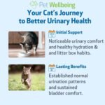 Pet Wellbeing Urinary Gold for Cats - Supports Urinary Tract Health, Normal Frequency, Healthy Immune Response, Stoneroot, Hydrangea - Herbal Supplement 4 oz (118 ml) - Image 9