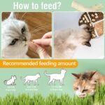 60g Cat Grass Teething Sticks with Goat Milk Favor, Edible Freezed-Drying Cat Grass Treats, Cat Snack Sticks for Hairball Removal and Dental Care - Image 5