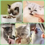 60g Cat Grass Teething Sticks with Goat Milk Favor, Edible Freezed-Drying Cat Grass Treats, Cat Snack Sticks for Hairball Removal and Dental Care - Image 7