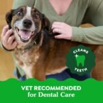GREENIES Dog Treats Original Regular Natural Dental Care, (54 Treats) 54oz. Pack - Image 11