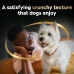 CESAR BAKIES Dog Treats, For Small Breed Adult Dogs, New York Strip Flavour, Crunchy Texture, Fun Shapes, 180g Resealable Pouch - Image 4