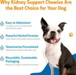 Pet Wellbeing Kidney Support Chewies for Dogs - Supports Healthy & Stable Kidney (Renal) Function, Normal Fluid Balance & Energy Levels, Rehmannia, Astragalus - 90 Soft Chews - Image 5