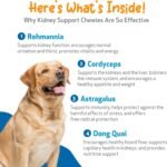 Pet Wellbeing Kidney Support Chewies for Dogs - Supports Healthy & Stable Kidney (Renal) Function, Normal Fluid Balance & Energy Levels, Rehmannia, Astragalus - 90 Soft Chews - Image 6