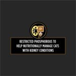 Purina Pro Plan Veterinary Diets 17957 Ppvd Nf Early Care Fln Cat Food, 5.5 oz - Image 5