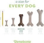 Benebone Maplestick Durable Dog Chew Toy for Aggressive Chewers, Real Maplewood, Made in USA, Medium - Image 5
