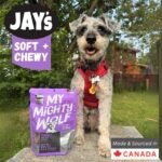 Jay's Soft & Chewy My Mighty Wolf Turkey Dog Treats 454g Made in Canada - Image 3